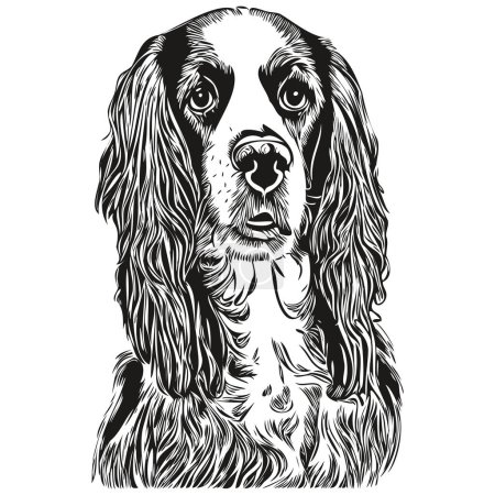 Illustration for Spaniel English Springer dog hand drawn vector logo drawing black and white line art pets illustratio - Royalty Free Image