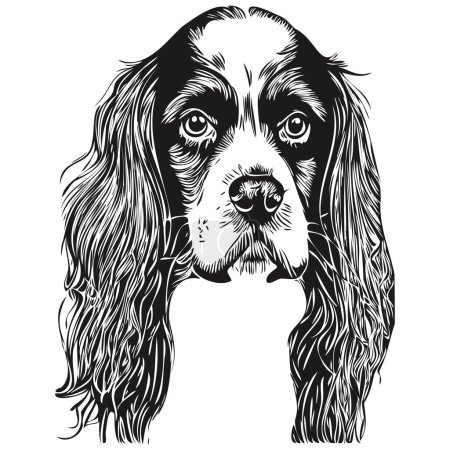 Illustration for Spaniel English Springer dog line art hand drawing vector logo black and white pets illustratio - Royalty Free Image