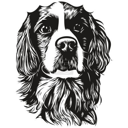 Illustration for Spaniel English Springer dog logo hand drawn line art vector drawing black and white pets illustratio - Royalty Free Image
