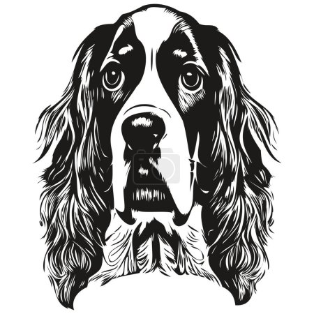 Illustration for Spaniel English Springer dog logo hand drawn line art vector drawing black and white pets illustratio - Royalty Free Image