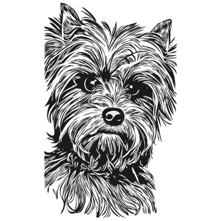 Téléchargez les photos : Yorkshire Terrier chien dessiné à la main vectoriel logo dessin noir et blanc ligne art animaux illustratio - en image libre de droit