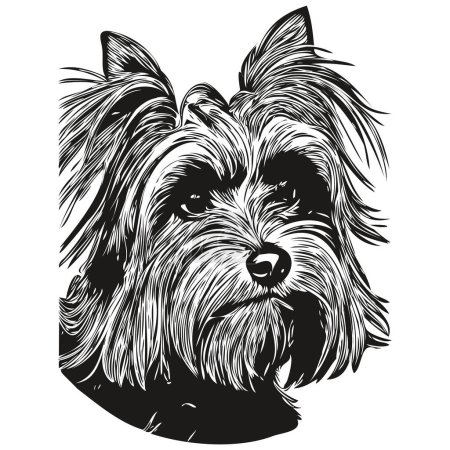Ilustración de Yorkshire Terrier perro logotipo dibujado a mano línea arte vector dibujo blanco y negro mascotas illustratio - Imagen libre de derechos
