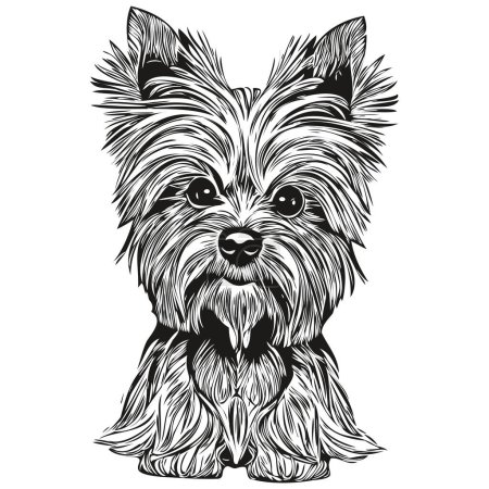 Photo for Yorkshire Terrier dog vector illustration, hand drawn line art pets logo black and whit - Royalty Free Image