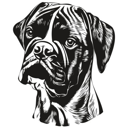 Illustration for Boxer dog hand drawn vector logo drawing black and white line art pets illustratio - Royalty Free Image