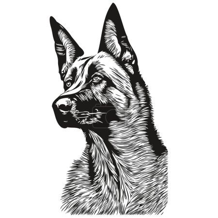 Téléchargez les photos : Logo chien Malinois belge dessin vectoriel d'art en ligne dessinée à la main animaux de compagnie noir et blanc illustratio - en image libre de droit