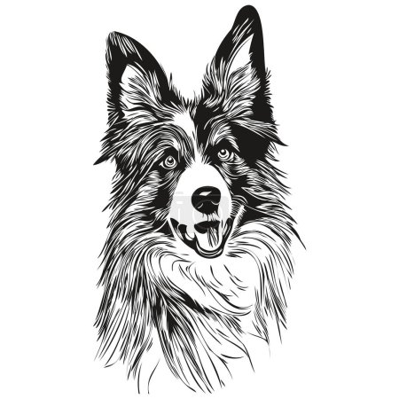 Téléchargez les photos : Border Collies chien dessiné à la main logo dessin noir et blanc art ligne animaux illustratio - en image libre de droit