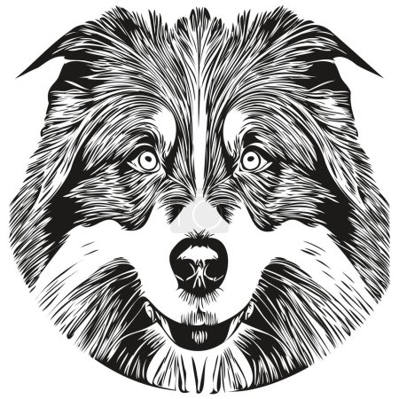 Illustration for Border Collies dog hand drawn vector line art drawing black and white logo pets illustratio - Royalty Free Image