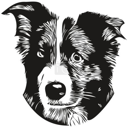Illustration for Border Collies dog line art hand drawing vector logo black and white pets illustratio - Royalty Free Image