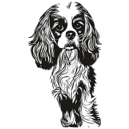 Téléchargez les illustrations : Cavalier King Charles Spaniels chien noir et blanc logo vectoriel, dessin à la main illustration vectorielle animaux de compagnie - en licence libre de droit