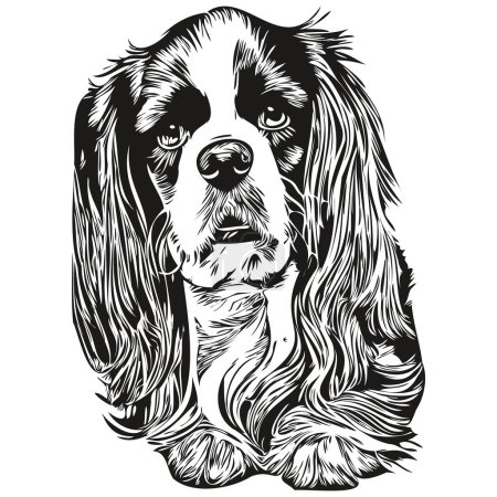 Téléchargez les illustrations : Cavalier King Charles Spaniels chien noir et blanc logo vectoriel, dessin à la main illustration vectorielle animaux de compagnie - en licence libre de droit
