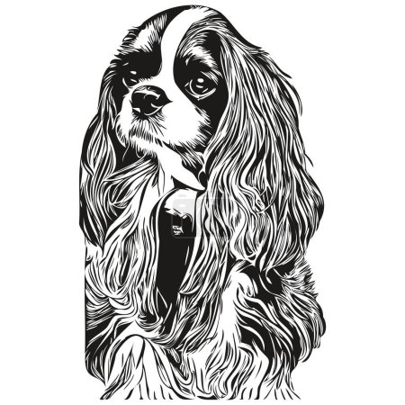 Cavalier King Charles Spaniels dog hand drawn line art vector drawing black and white logo pets illustratio