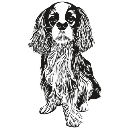 Téléchargez les illustrations : Cavalier Roi Charles Espagnols chien ligne dessinée à la main dessin vectoriel d'art noir et blanc logo animaux illustratio - en licence libre de droit