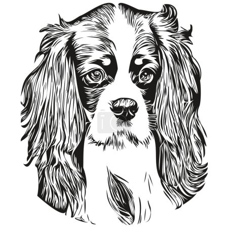 Téléchargez les illustrations : Cavalier Roi Charles Espagnols chien ligne dessinée à la main dessin vectoriel d'art noir et blanc logo animaux illustratio - en licence libre de droit