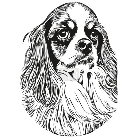 Téléchargez les illustrations : Cavalier Roi Charles Spaniels chien ligne art dessin à la main vectoriel logo noir et blanc animaux illustratio - en licence libre de droit