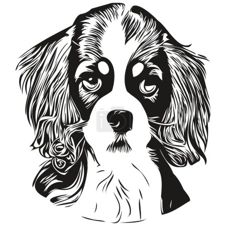 Téléchargez les illustrations : Cavalier Roi Charles Spaniels chien logo dessiné à la main ligne art vectoriel dessin noir et blanc animaux illustratio - en licence libre de droit