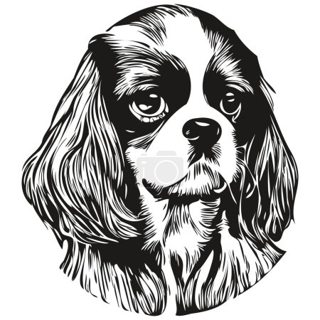 Téléchargez les illustrations : Cavalier Roi Charles Spaniels chien logo dessiné à la main ligne art vectoriel dessin noir et blanc animaux illustratio - en licence libre de droit