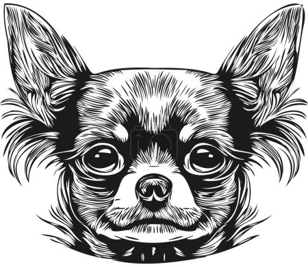 Chihuahua Hund Logo handgezeichnete Linie Kunst Vektor Zeichnung schwarz und weiß Haustiere illustratio