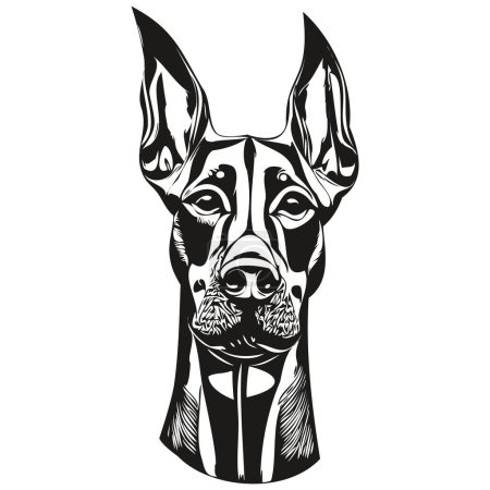 Doberman Pinschers dog line art hand drawing vector logo black and white pets illustratio
