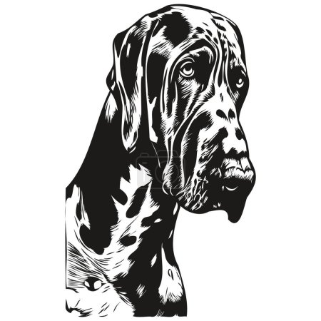 Photo for Great Dane dog hand drawn line art vector drawing black and white logo pets illustratio - Royalty Free Image