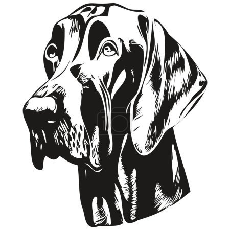 Téléchargez les illustrations : Grand chien Danois dessiné à la main dessin vectoriel d'art dessin noir et blanc logo animaux illustratio - en licence libre de droit
