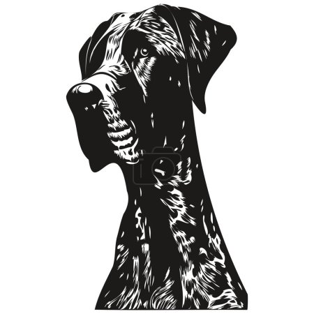 Téléchargez les illustrations : Grand Dane chien logo dessiné à la main ligne art vectoriel dessin noir et blanc animaux illustratio - en licence libre de droit