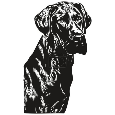 Téléchargez les illustrations : Grande illustration vectorielle de chien Danois, dessin à la main art animaux de compagnie logo noir et blanc - en licence libre de droit