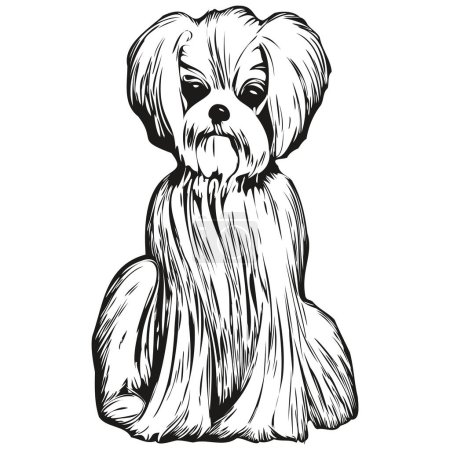 Illustration for Maltese dog vector illustration, hand drawn line art pets logo black and whit - Royalty Free Image
