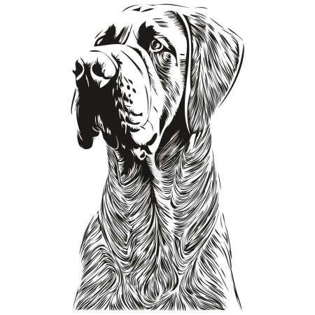Illustration for Mastiff dog black and white vector illustration, hand drawn line art pets logo - Royalty Free Image
