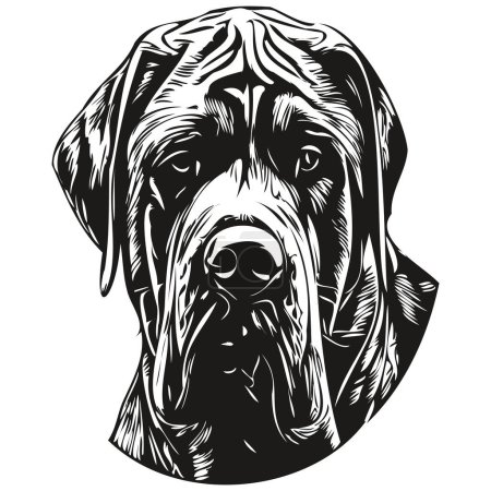 Illustration for Mastiff dog hand drawn illustration, black and white vector pets logo line ar - Royalty Free Image