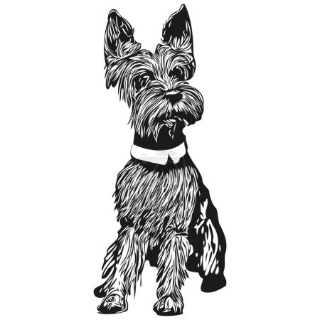 Téléchargez les illustrations : Schnauzer miniature chien ligne art dessin à la main vecteur logo noir et blanc animaux illustratio - en licence libre de droit
