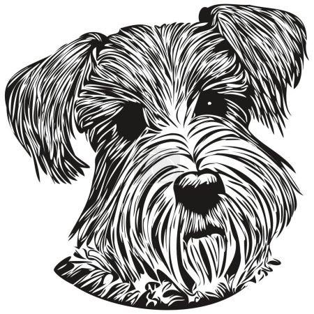 Téléchargez les photos : Schnauzer miniature chien ligne art dessin à la main vecteur logo noir et blanc animaux illustratio - en image libre de droit