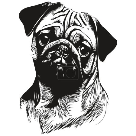 Téléchargez les photos : Chien Pugs dessiné à la main dessin d'art en ligne vectorielle noir et blanc logo animaux illustratio - en image libre de droit