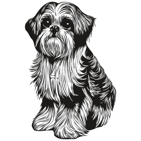 Téléchargez les photos : Shih Tzu chien ligne art dessin à la main vecteur logo noir et blanc animaux illustratio - en image libre de droit