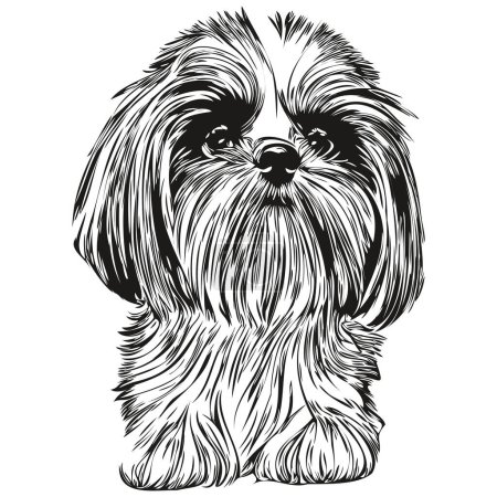 Téléchargez les photos : Shih Tzu chien logo ligne dessinée à la main art vectoriel dessin noir et blanc animaux illustratio - en image libre de droit