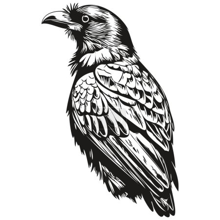 Cute hand drawn Raven, vector illustration black and white corbi