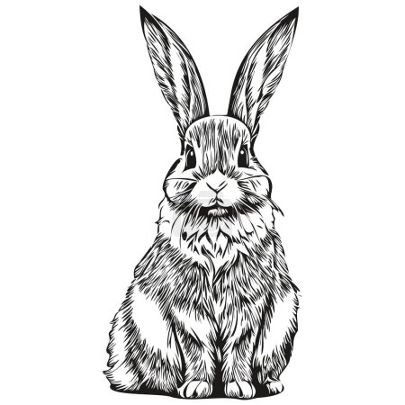 Téléchargez les photos : Vecteur réaliste lapin, animal dessiné à la main illustration har - en image libre de droit