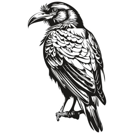 Vintage engrave isolated Raven illustration cut ink sketch corbi