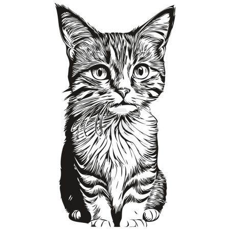 Téléchargez les photos : Chat mignon sur fond blanc, dessin à la main illustration kitte - en image libre de droit
