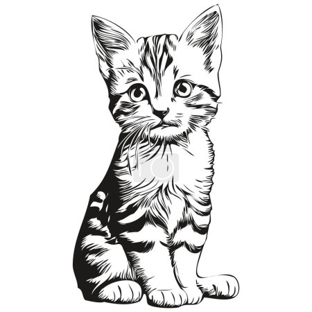 Téléchargez les photos : Mignon chat dessiné à la main, illustration vectorielle kitte noir et blanc - en image libre de droit