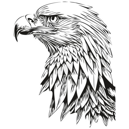 Photo for Eagle sketchy, graphic portrait of a eagle on a white background, bir - Royalty Free Image