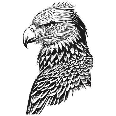 Téléchargez les photos : Peinture linéaire noir et blanc dessin aigle vecteur illustration bir - en image libre de droit