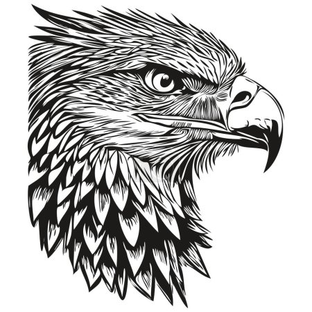 Téléchargez les photos : Logo aigle, illustration noir et blanc dessin à la main bir - en image libre de droit