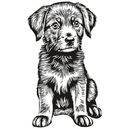 Photo for Cute puppy on white background, hand draw illustration puppie - Royalty Free Image