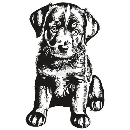 Photo for Cute hand drawn puppy, vector illustration black and white puppie - Royalty Free Image