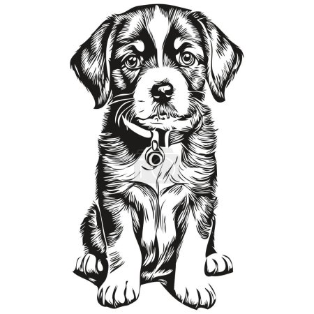 Photo for Vintage engrave isolated puppy illustration cut ink sketch puppie - Royalty Free Image