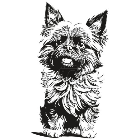 Ilustración de Affenpinscher perro cara vector retrato, divertido contorno mascota ilustración fondo blanco - Imagen libre de derechos