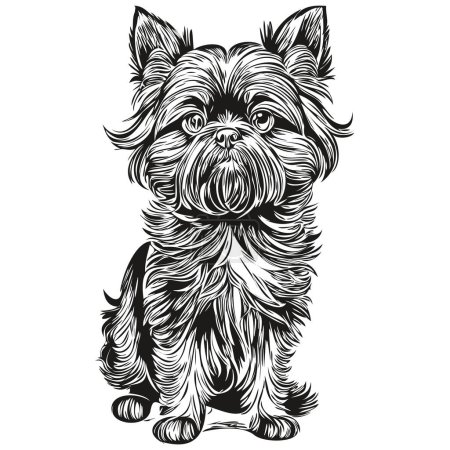 Ilustración de Dibujo de boceto de tinta de perro Affenpinscher, tatuaje vintage o camiseta imprimir dibujo de vectores en blanco y negro - Imagen libre de derechos