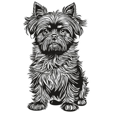 Ilustración de Dibujo de boceto de tinta de perro Affenpinscher, tatuaje vintage o camiseta imprimir vector blanco y negro - Imagen libre de derechos