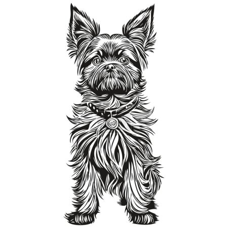 Ilustración de Affenpinscher perro aislado dibujo sobre fondo blanco, cabeza mascota línea ilustración realista raza mascota - Imagen libre de derechos