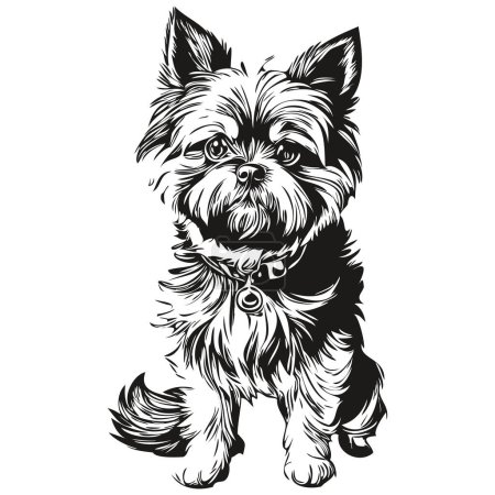 Ilustración de Affenpinscher línea de perro ilustración, retrato de cara de boceto de tinta en blanco y negro en vector realista raza mascota - Imagen libre de derechos